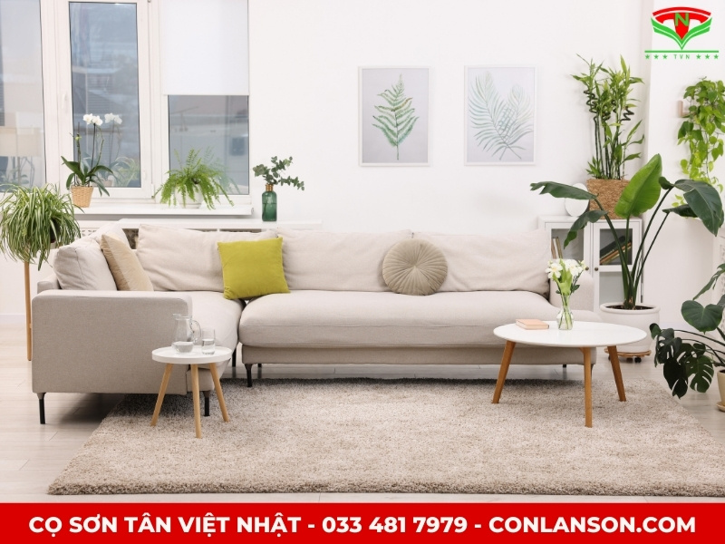Màu sắc phong thủy