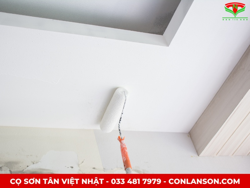 Tại sao sơn trần quan trọng