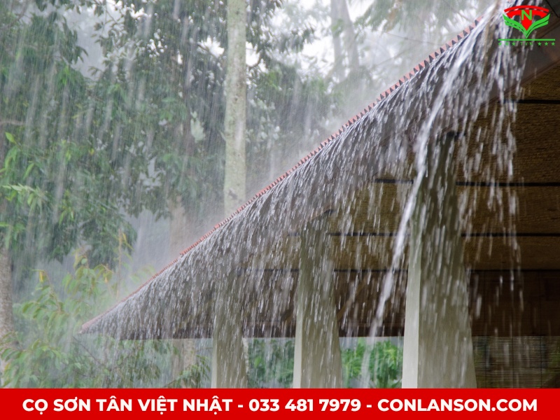 Sơn nhà vào mùa mưa