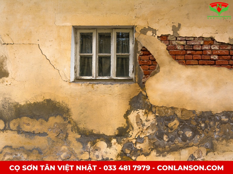 Trang trí tường cũ